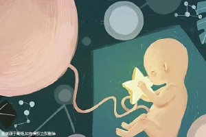 锦书生殖